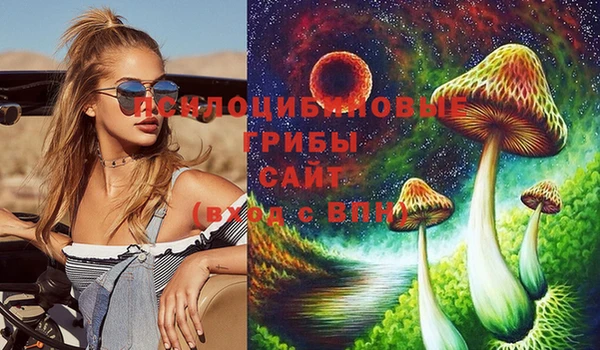 скорость Лагань
