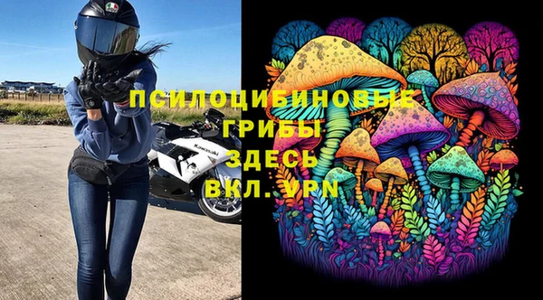 скорость Лагань